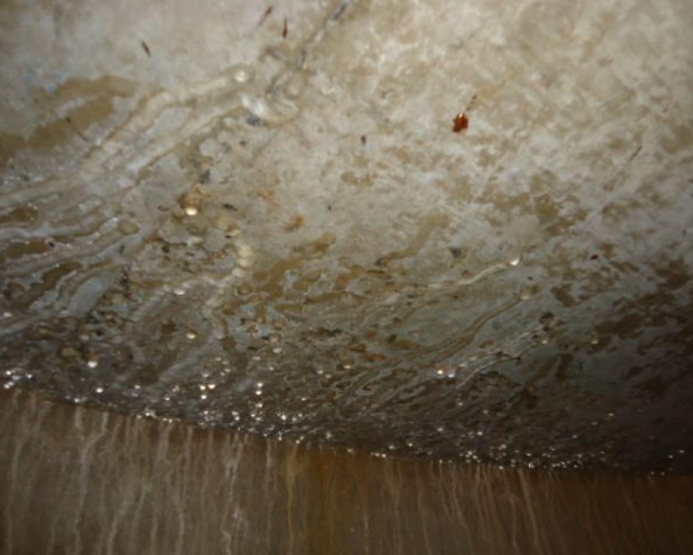 Imagem 177 da galeria impermeabilização.danos provocados por falta de manutenção em caixa d'água e reservatório. a manutenção tem que ser feita no minimo uma vez ao ano.
