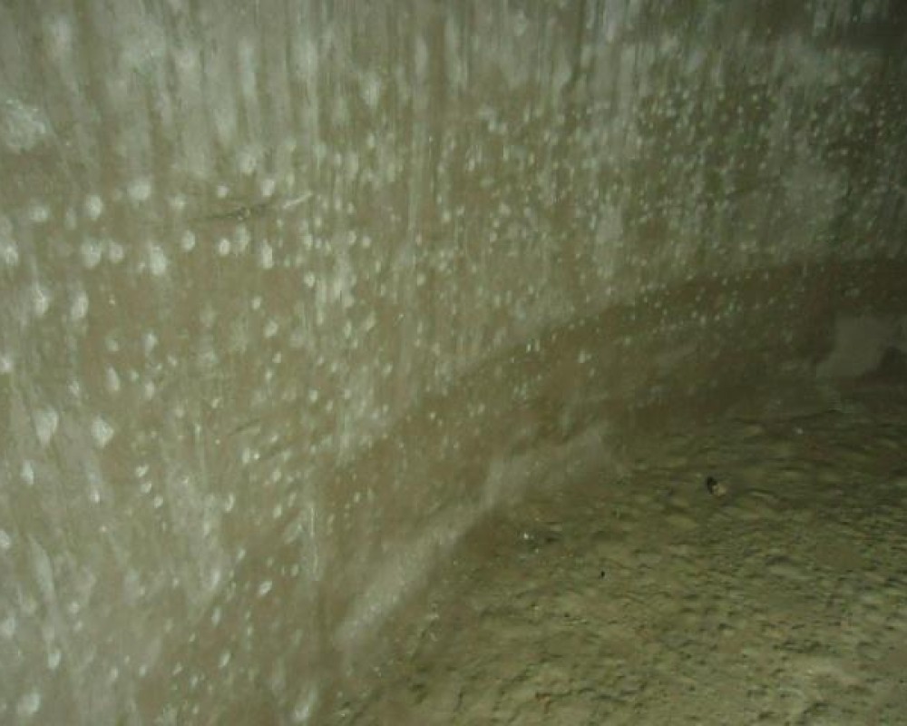 Imagem 173 da galeria impermeabilização.danos provocados por falta de manutenção em caixa d'água e reservatório. a manutenção tem que ser feita no minimo uma vez ao ano.