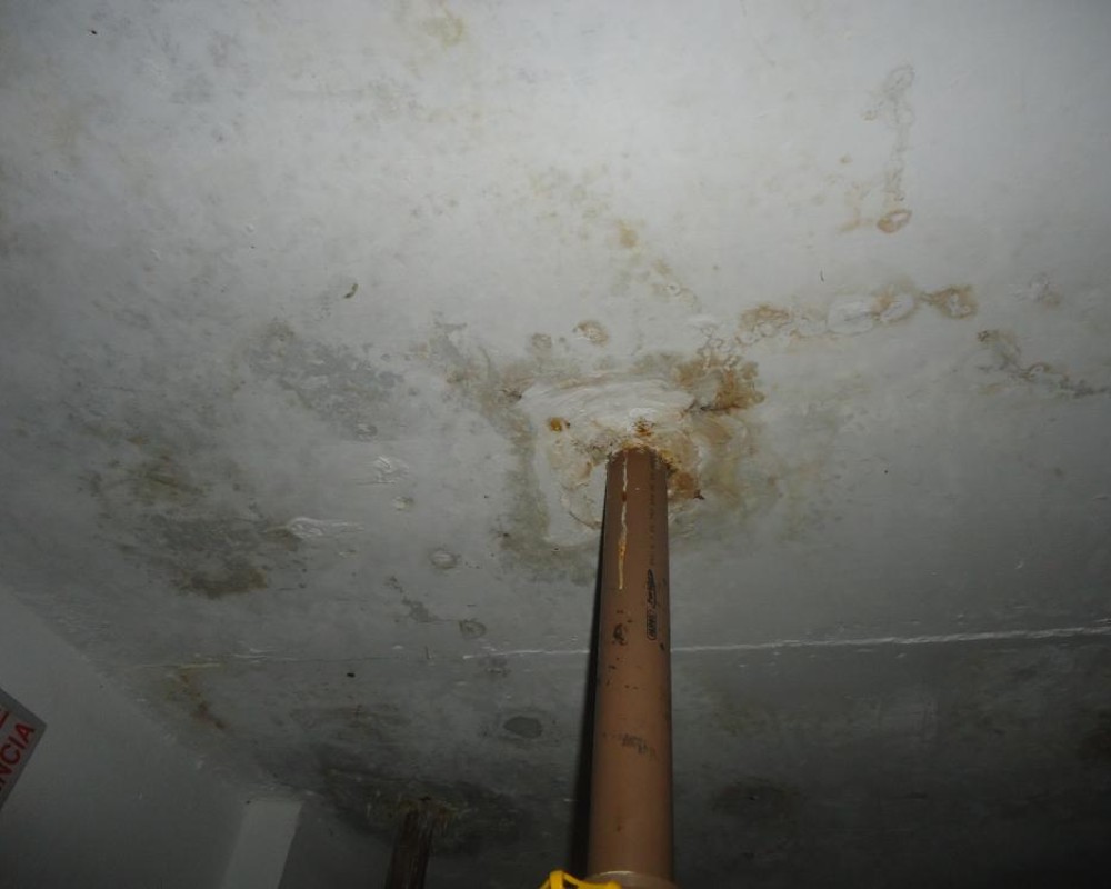 Imagem 8 da galeria Impermeabilização. tratamento de umidade em parede e laje, garantia de 5 anos.