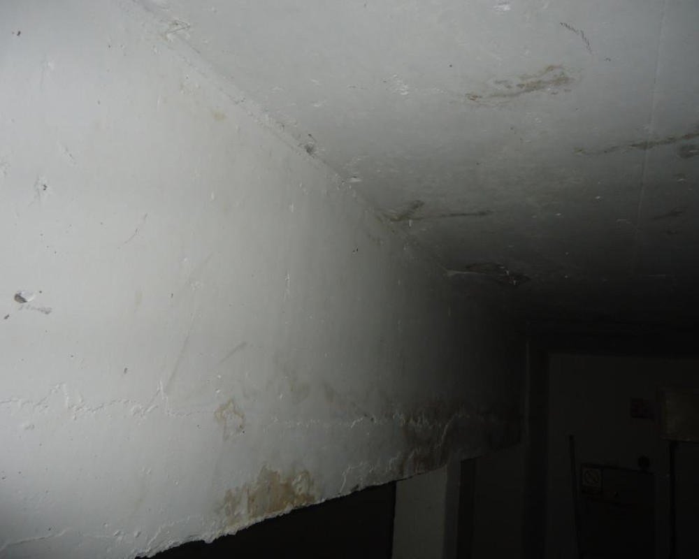 Imagem 4 da galeria Impermeabilização. tratamento de umidade em parede e laje, garantia de 5 anos.