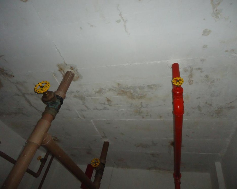 Imagem 15 da galeria Impermeabilização. tratamento de umidade em parede e laje, garantia de 5 anos.
