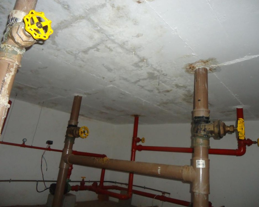 Imagem 13 da galeria Impermeabilização. tratamento de umidade em parede e laje, garantia de 5 anos.