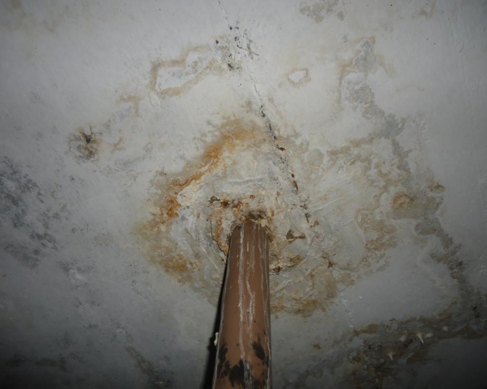 Imagem 10 da galeria Impermeabilização. tratamento de umidade em parede e laje, garantia de 5 anos.