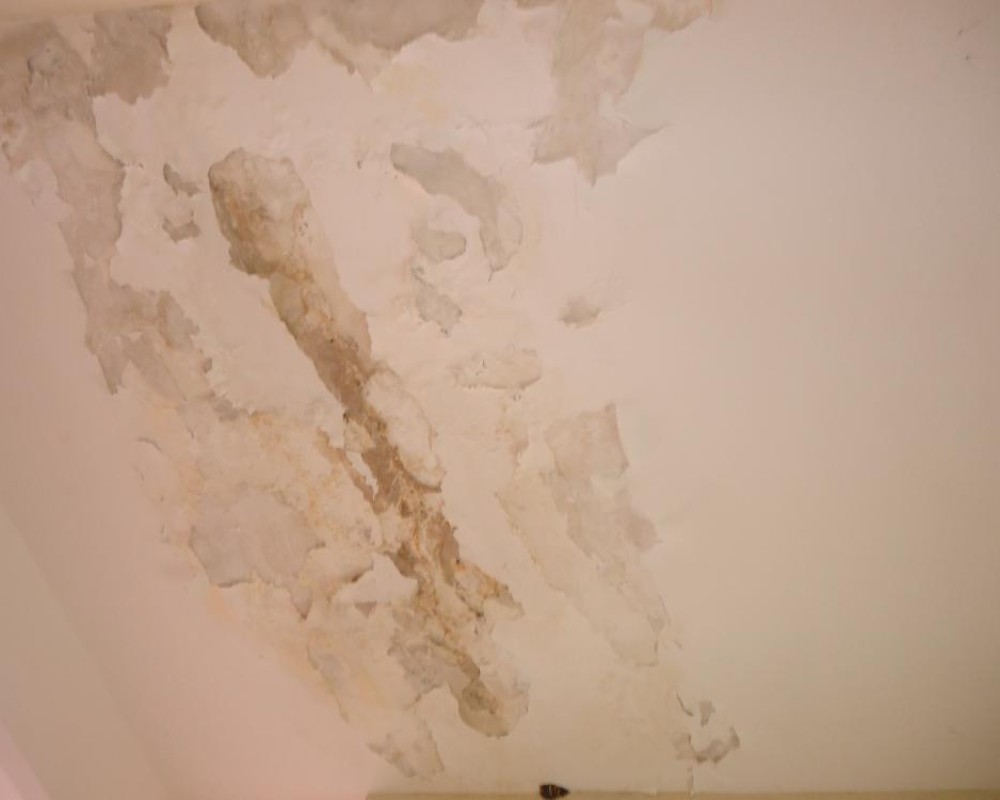 Imagem 30 da galeria Impermeabilização. tratamento de umidade em parede e laje, garantia de 5 anos.